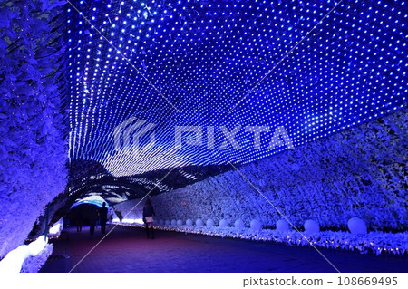 Large-scale illumination of Tokinosumu near Mt. Fuji (tunnel of light) Large-scale illumination of Tokinosumu near Mt. Fuji (tunnel of light) 108669495