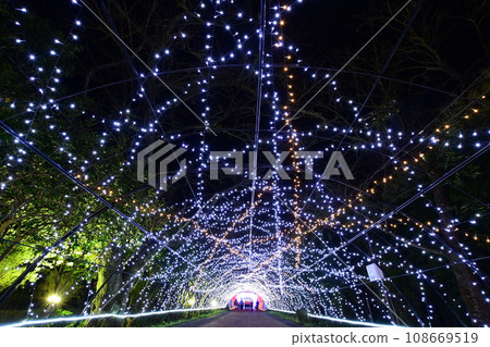Large-scale illumination of Tokinosumu near Mt. Fuji (tunnel of light) 108669519