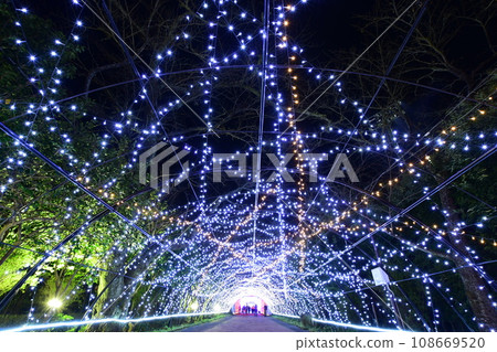 Large-scale illumination of Tokinosumu near Mt. Fuji (tunnel of light) 108669520
