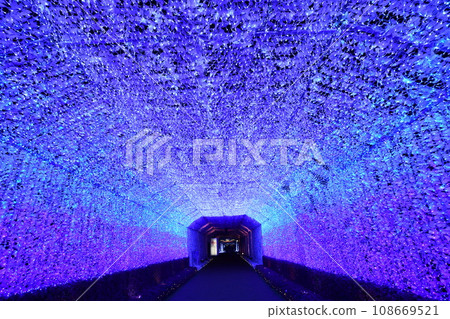 Large-scale illumination of Tokinosumu near Mt. Fuji (tunnel of light) 108669521