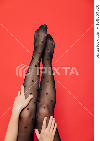 women's slender legs in black tights on a red background 108669820
