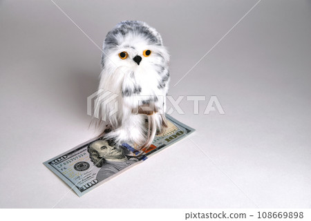 Toy eagle owl made of natural feather 108669898