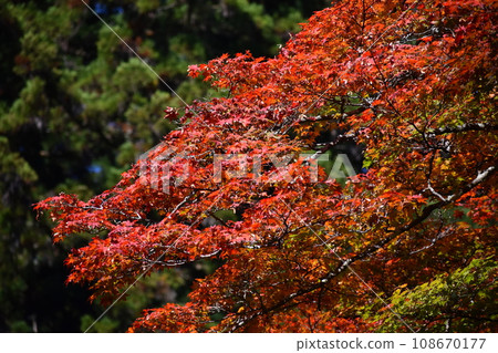 比叡山 比叡山 108670177