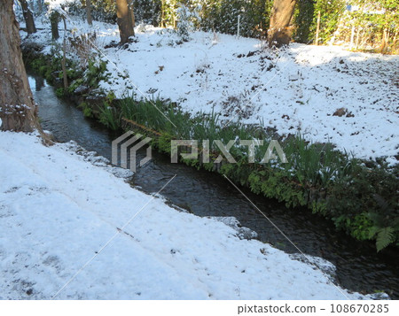 snowy scenery brook snowy scenery brook 108670285