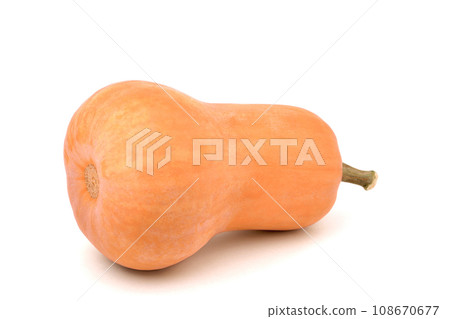 pumpkin in the shape of a pear lies on its side on a white background, close-up pumpkin in the shape of a pear lies on its side on a white background, close-up 108670677