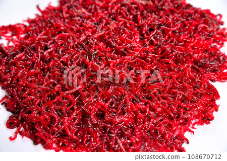 Winter worms for winter fishing on a white background Winter worms for winter fishing on a white background 108670712