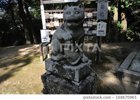 金比羅神社 木島社 金比羅神社 木島社 108670965