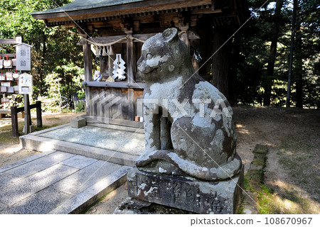 金比羅神社 木島社 金比羅神社 木島社 108670967