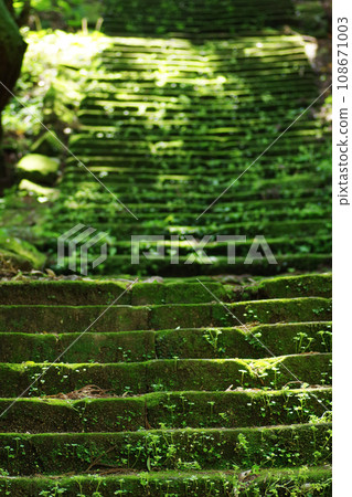 熊野古道 熊野古道 108671003