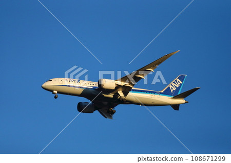 秋天的新千歲機場_B787起降飛機 秋天的新千歲機場_B787起降飛機 108671299