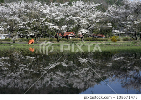 Paddy fields in the mountains waiting to be planted 108671473