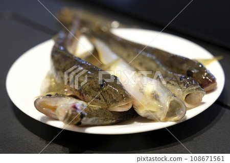 白盤上的玉米 108671561