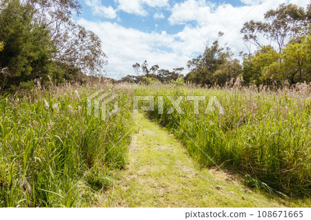 Coolart Wetlands and Homestead in Somers, Australia 108671665
