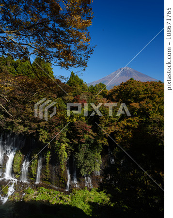 Shizuoka_Scenery of Shiraito Falls and Mt. Fuji in autumn leaves Shizuoka_Scenery of Shiraito Falls and Mt. Fuji in autumn leaves 108671765