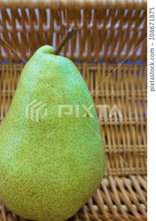 Marguerite Marilla, pear, pear Marguerite Marilla, pear, pear 108671875