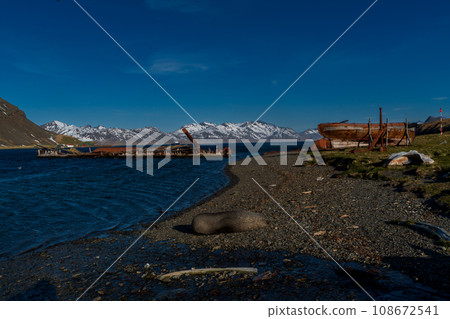 South Georgia Island Grytviken whaling station ruins 108672541