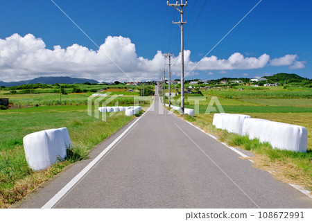 Sugar road and blue sky, Kohama Island, Okinawa Prefecture 108672991