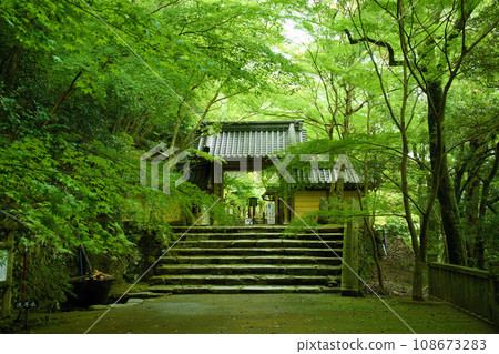 滋賀縣永源寺 108673283