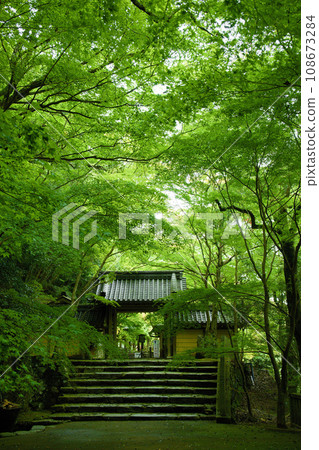 Shiga Prefecture Eigenji Temple 108673284