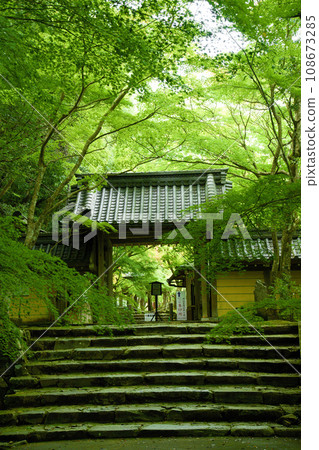 滋賀縣永源寺 108673285