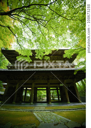 Shiga Prefecture Eigenji Temple 108673288
