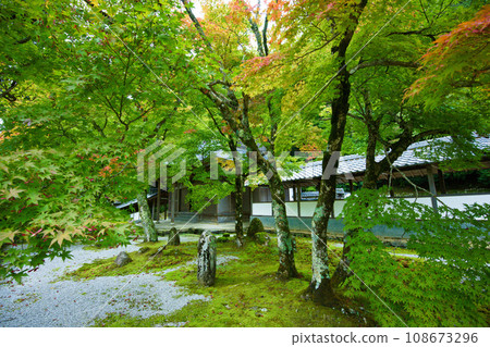 滋賀縣永源寺 滋賀縣永源寺 108673296