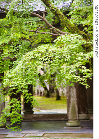 Shiga Prefecture Eigenji Temple 108673300