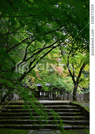 Shiga Prefecture Eigenji Temple Shiga Prefecture Eigenji Temple 108673304