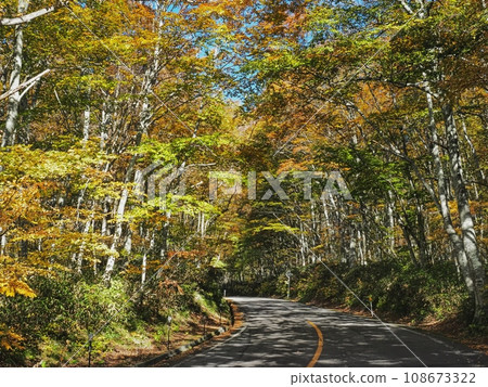 Okudaisen Daisen ring road with autumn leaves 108673322