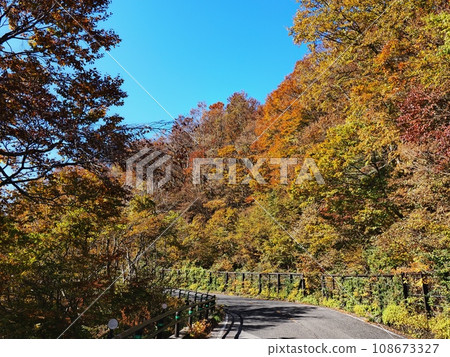 Okudaisen Daisen ring road with autumn leaves 108673327