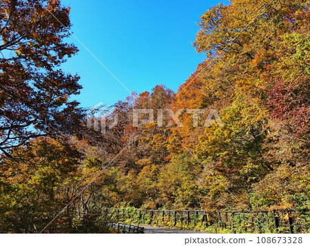 Okudaisen Daisen ring road with autumn leaves 108673328