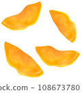 Dried fruits mango 108673780