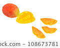Dried fruits mango 108673781