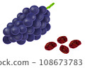 Dried fruits raisins 108673783
