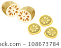 Mustard lotus root 108673784