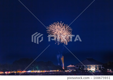 埼玉市煙火大會岩槻會場 埼玉市煙火大會岩槻會場 108673931