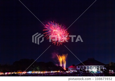 埼玉市煙火大會岩槻會場 埼玉市煙火大會岩槻會場 108673932