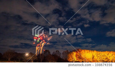Illuminated ginkgo trees and fireworks at Showa Kinen Park 108674356
