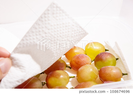 Refrigerated storage of grapes 108674696