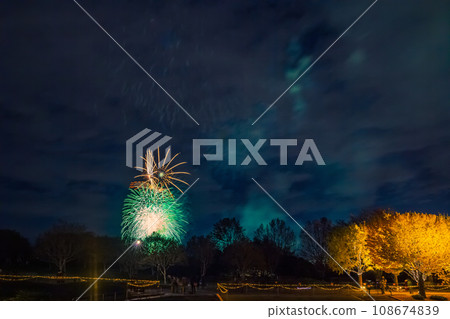 Illuminated ginkgo trees and fireworks at Showa Kinen Park Illuminated ginkgo trees and fireworks at Showa Kinen Park 108674839