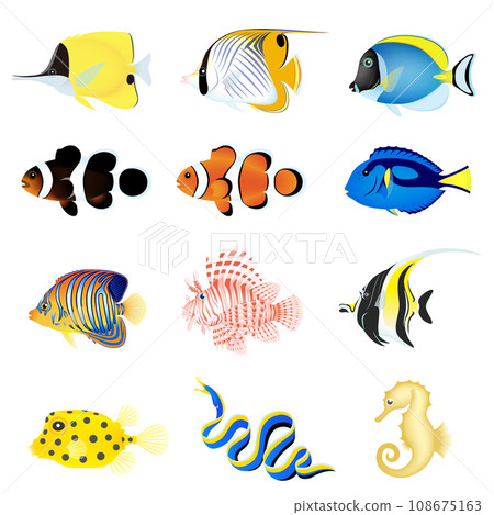 美麗的海魚套裝 108675163