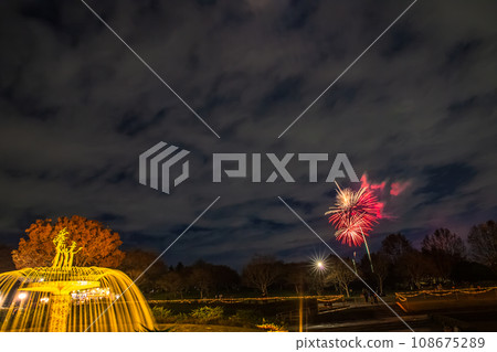 Illuminated ginkgo trees and fireworks at Showa Kinen Park Illuminated ginkgo trees and fireworks at Showa Kinen Park 108675289