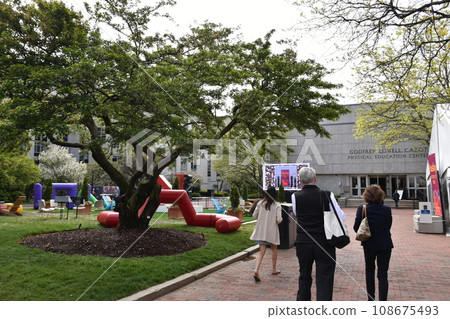 boston graduation ceremony 108675493