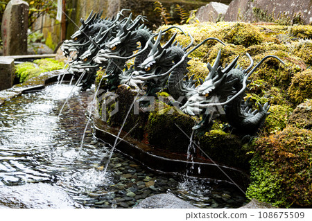 Kuzuryu water wash at the shrine Kuzuryu water wash at the shrine 108675509