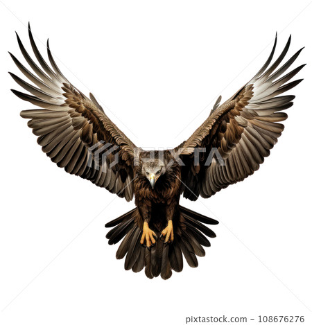 a flying eagle isolated a flying eagle isolated 108676276