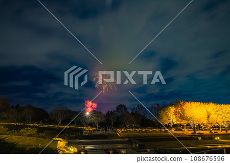 Illuminated ginkgo trees and fireworks at Showa Kinen Park Illuminated ginkgo trees and fireworks at Showa Kinen Park 108676596