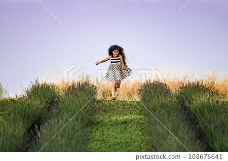 A little girl runs between lavender rows in a dress. A little girl runs between lavender rows in a dress. 108676641