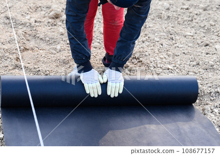 A woman spreads a roll of black agricultural fiber on the ground A woman spreads a roll of black agricultural fiber on the ground 108677157