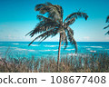 Scenery from Kulaloa Ranch, Hawaii 108677408