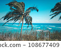 Scenery from Kulaloa Ranch, Hawaii 108677409